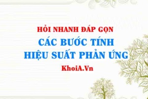 Các bước tính hiệu suất phản ứng, công thức tính hiệu suất phản ứng? KHTN 8